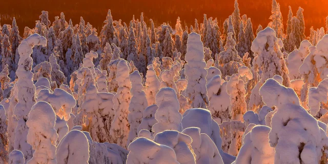 Paysages De Feu Et Glace Stephanie Et David Allemand Web