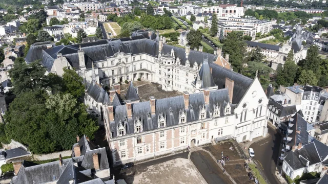 Le château royal de Blois