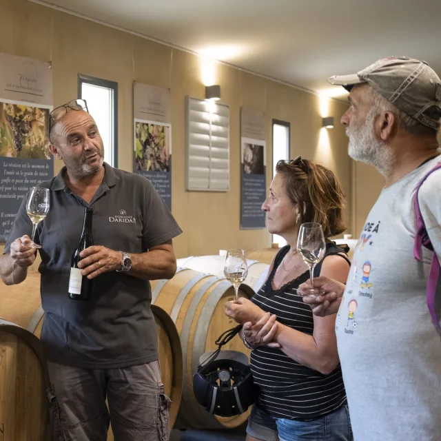 Dégustation au Domaine Daridan