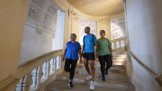 Visite du château de chambord