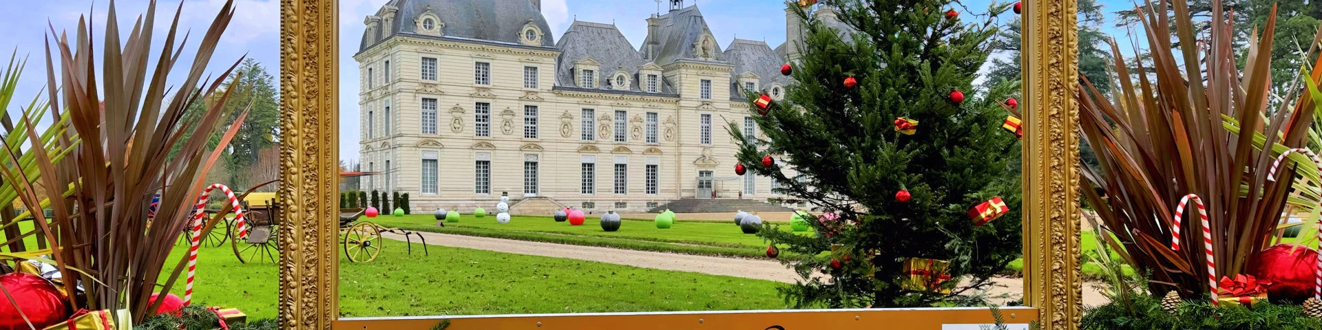 Chateau De Cheverny Noel