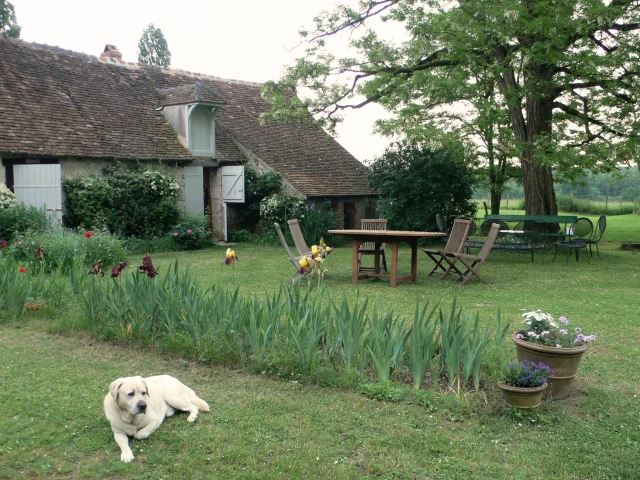 atelier Viens Voir