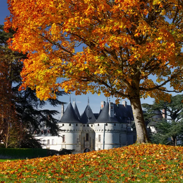 Le Château de Chaumont-sur-Loire sous ses couleurs d'automne