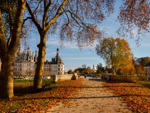 Le château de Chambord durant l'automne