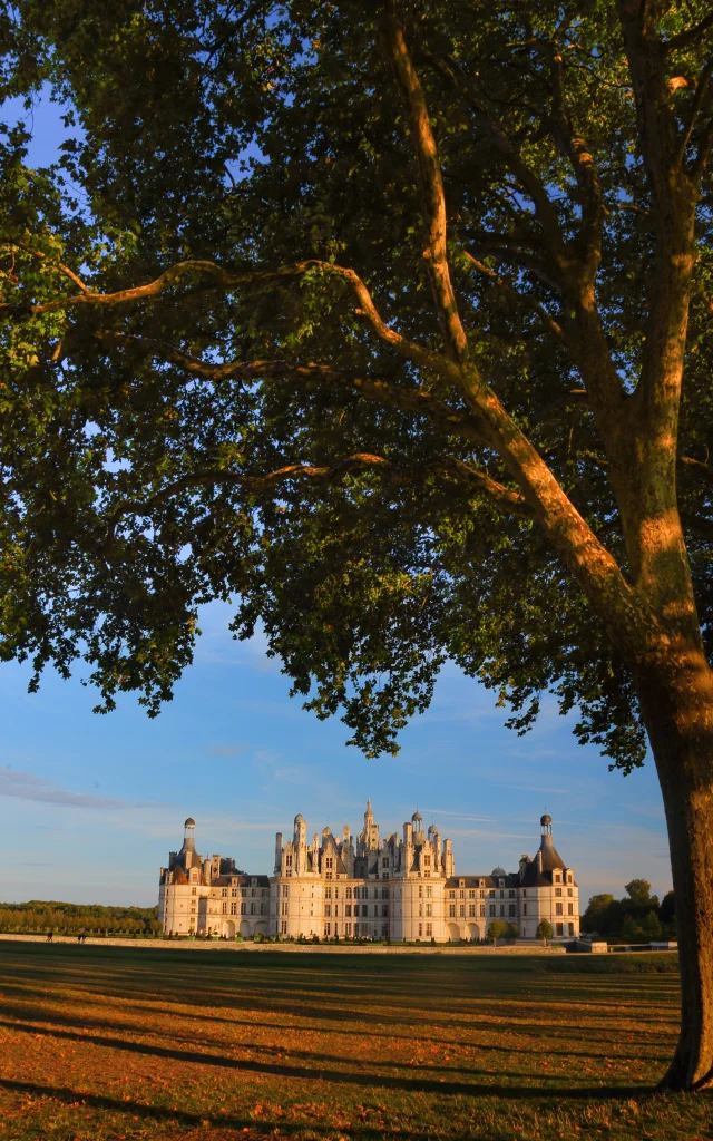 Le château de Chambord et ses couleurs d'automne
