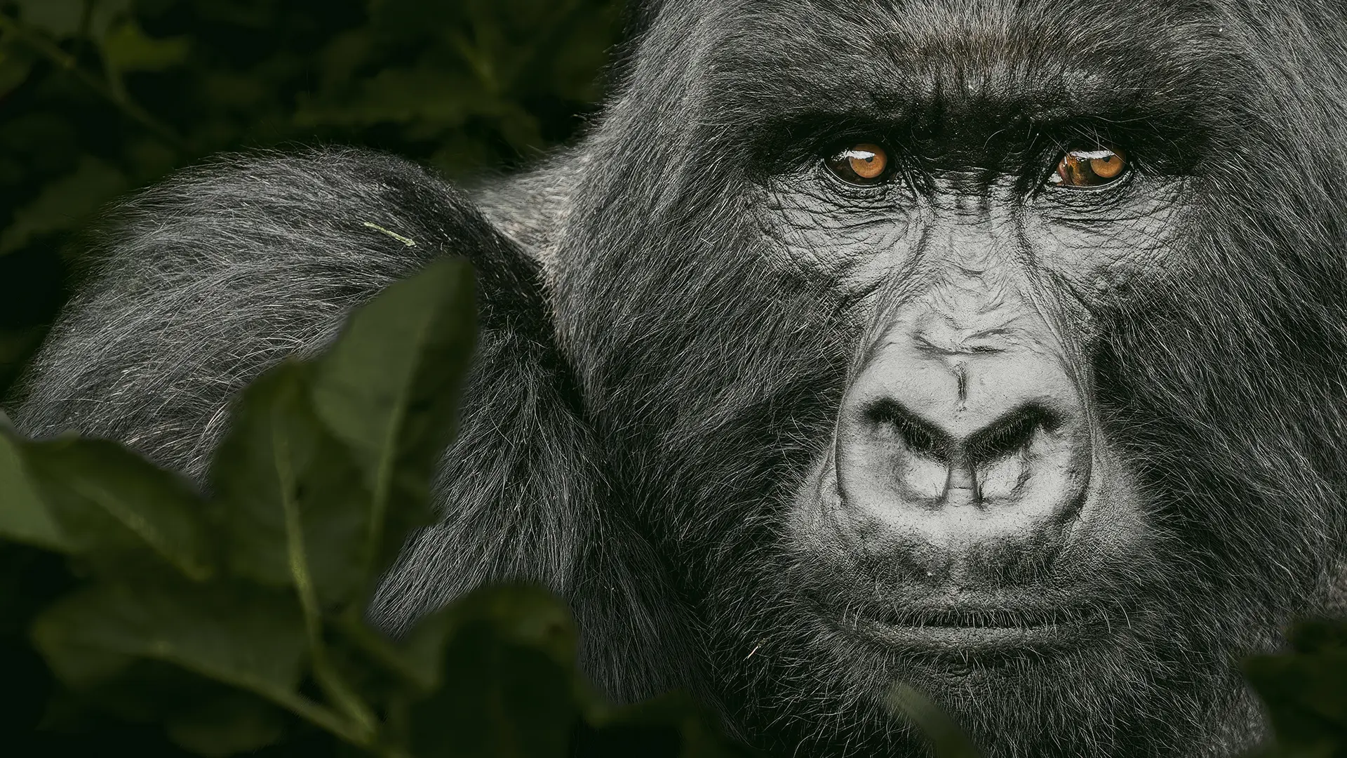 Regards de Fabrice Guerin