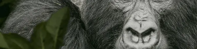 Regards de Fabrice Guerin