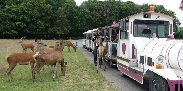 Reserve De Beaumarchais - Safari Train à Autrèche