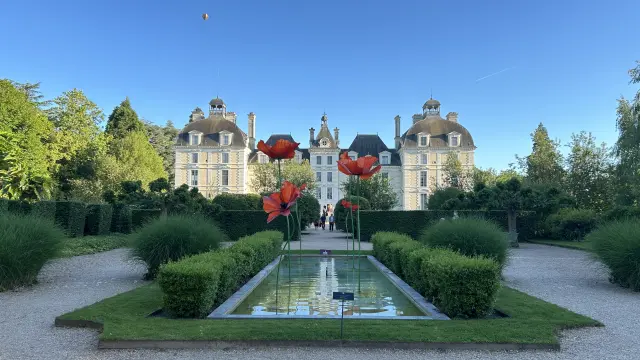 Cheverny et les coquelicots_plan large