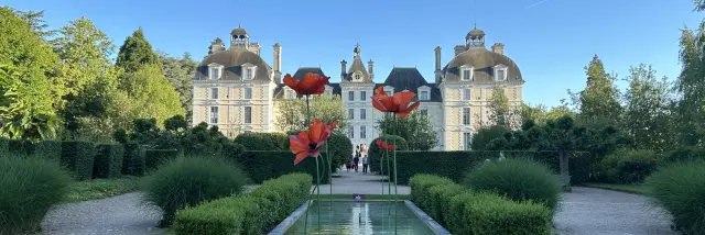 Cheverny et les coquelicots_plan large