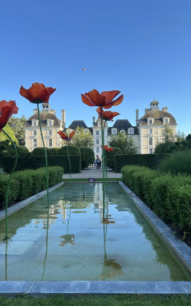 Cheverny et les coquelicots