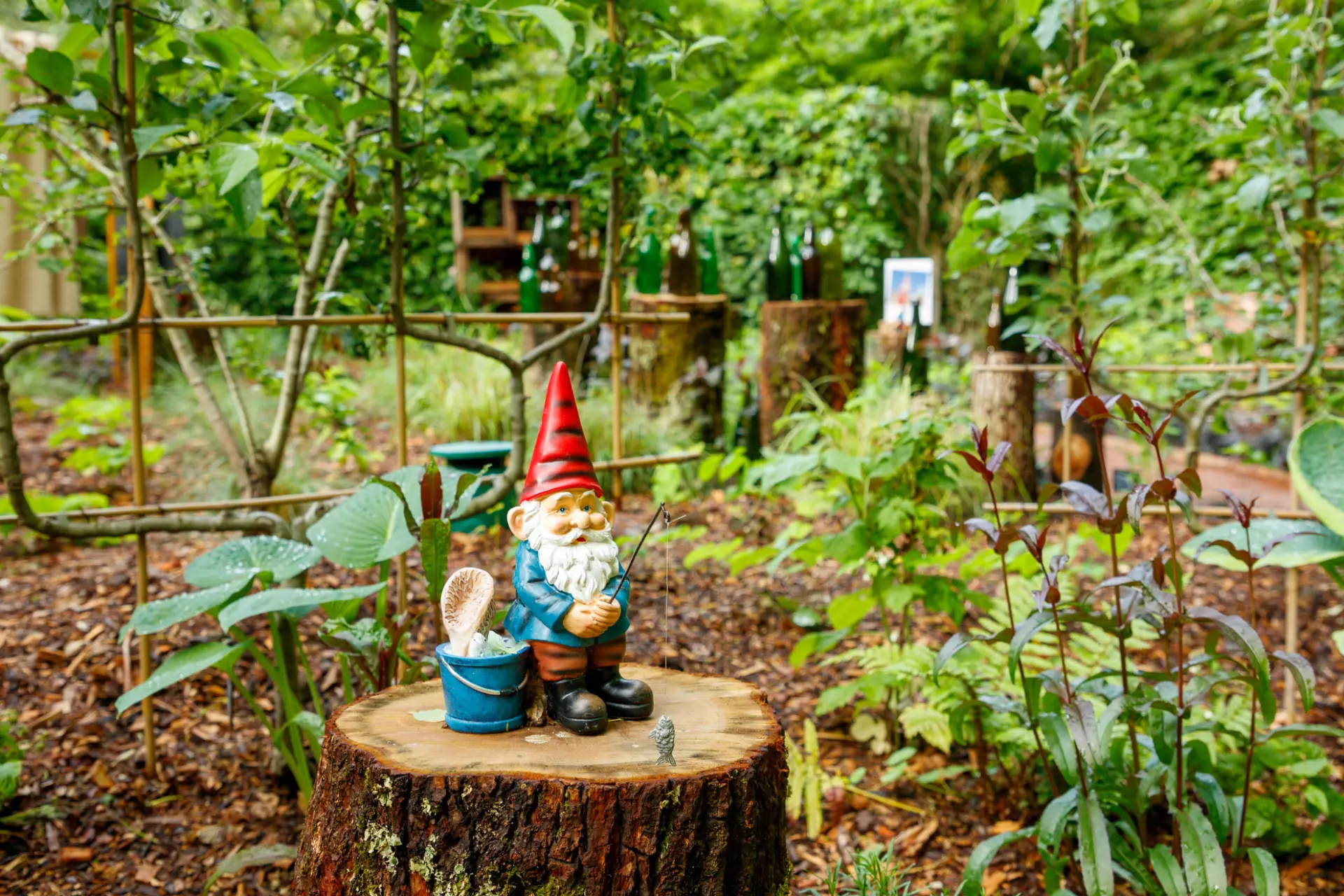 Jardin Amelie Poulain