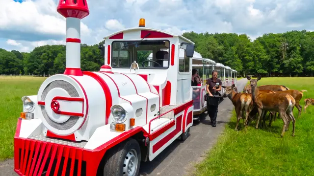 Le Safari Train - Réserve de Beaumarchais à Autrèche