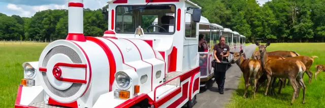 Le Safari Train - Réserve de Beaumarchais à Autrèche
