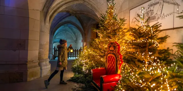 Noël au Chateau Royal d'Amboise