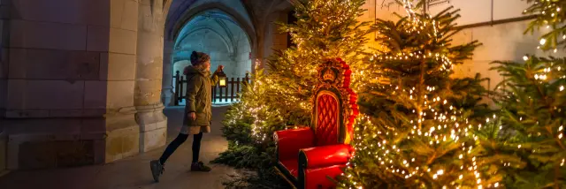 Noël au Chateau Royal d'Amboise