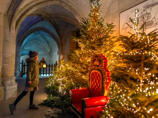 Noël au Chateau Royal d'Amboise