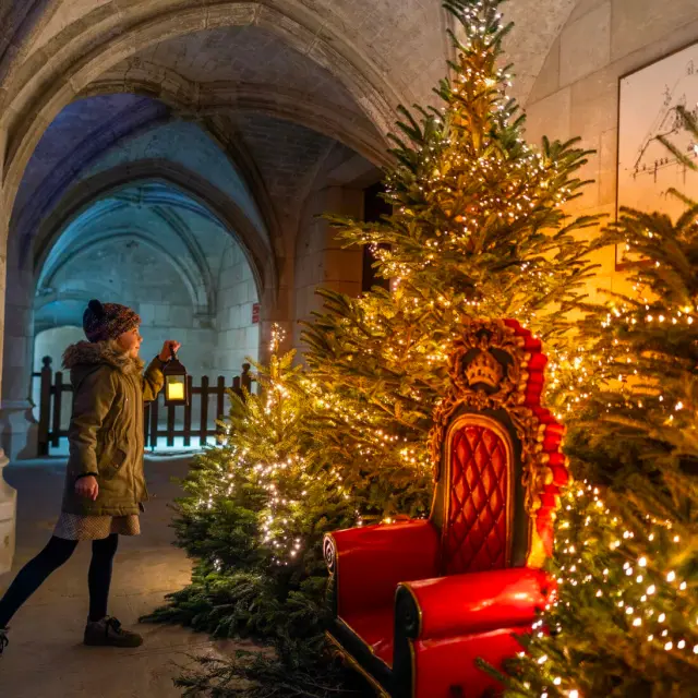 Noël au Chateau Royal d'Amboise