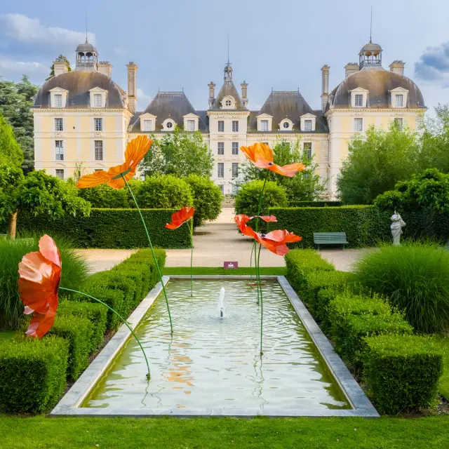 Chateau de Cheverny et ses coquelicots géants