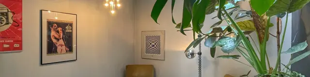 Salon avec plantes et décoration moderne dans un logement à Bruxelles