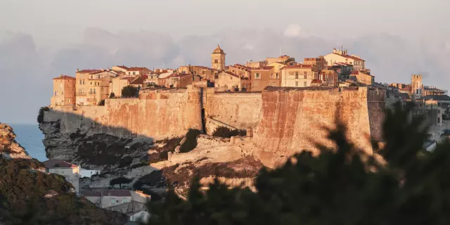 Bonifacio