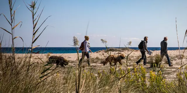 Balade Hiver Seniors Plage Testa Bonifacio