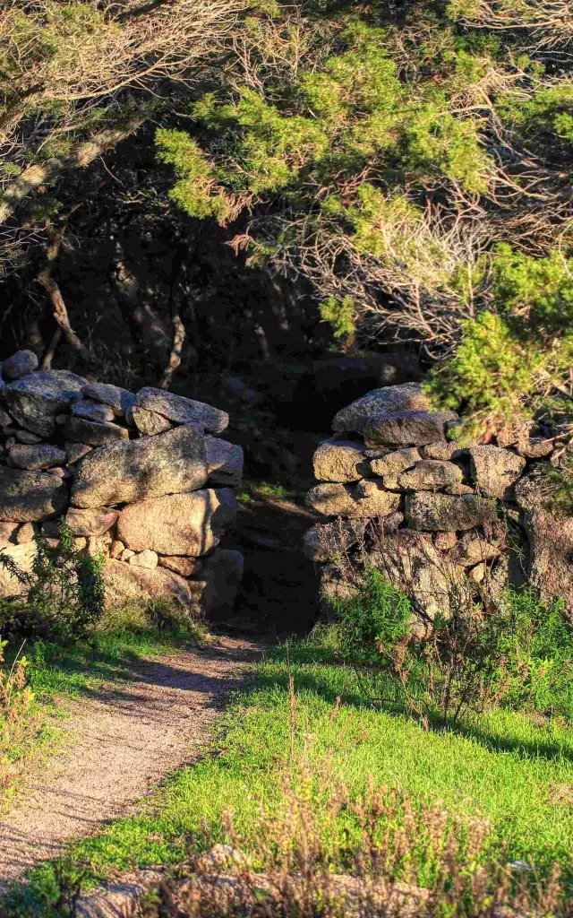 Campagne Bonifacienne Pierre Seche Nature Bonifacio
