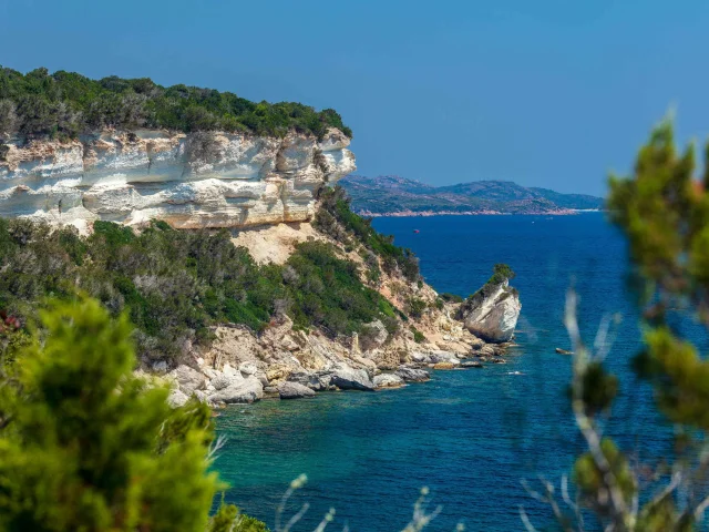 Crique Sauvage Plage Canettu Falaises Bonifacio