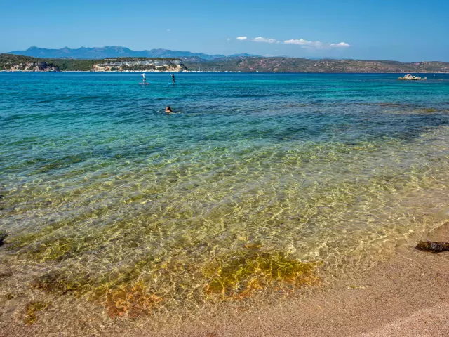 Plage Sant Amanza Nageuse Paddle Bonifacio