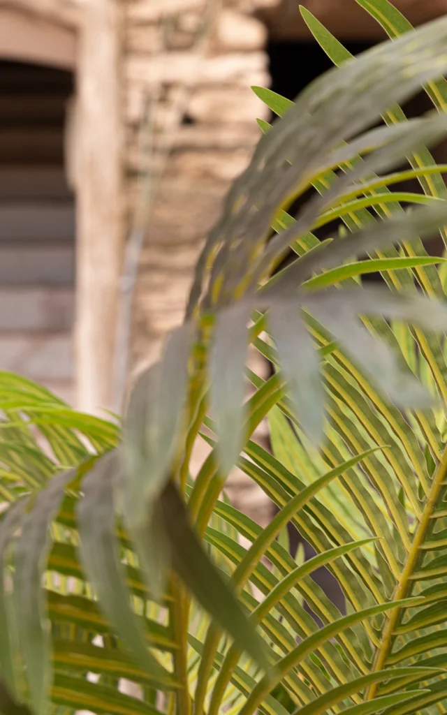 Scala Haute Ville Filiale di Bonifacio