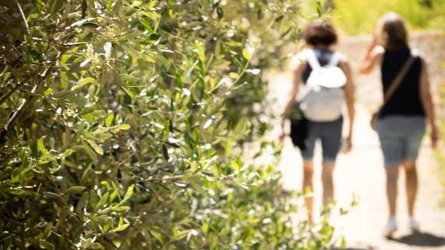 Balade Nature Sentier Femmes Bonifacio