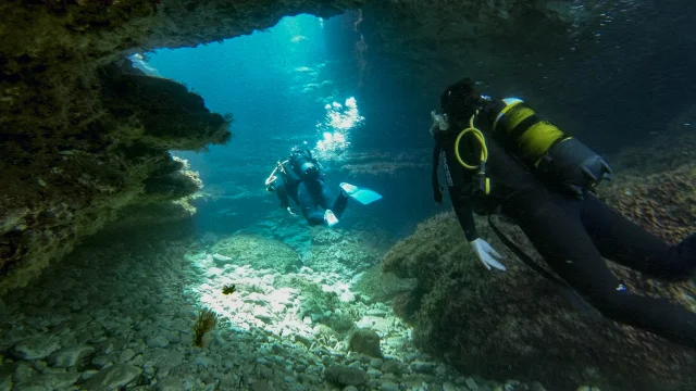 RP35 Terre d'expériences : Plongée