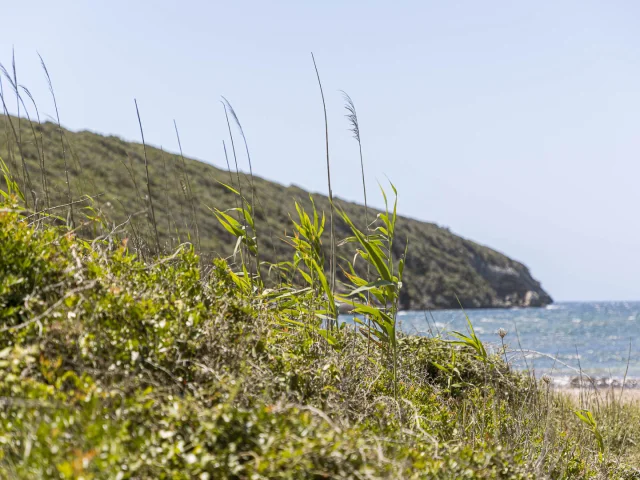 Plages sauvages et cachées Tonnara