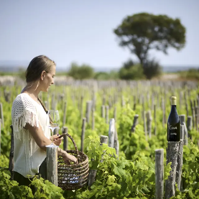 2 Lart Du Vin Vivant