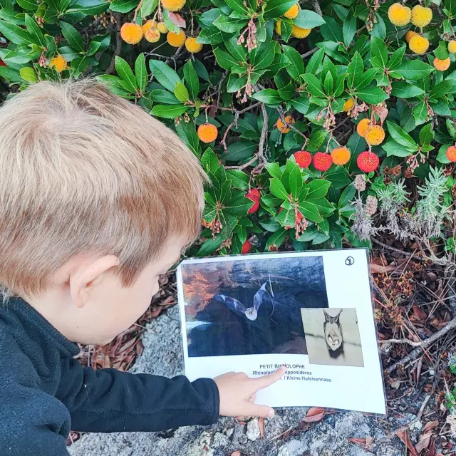 4 Balade Crepusculaire Sur Les Traces Des Animaux Nocturnes