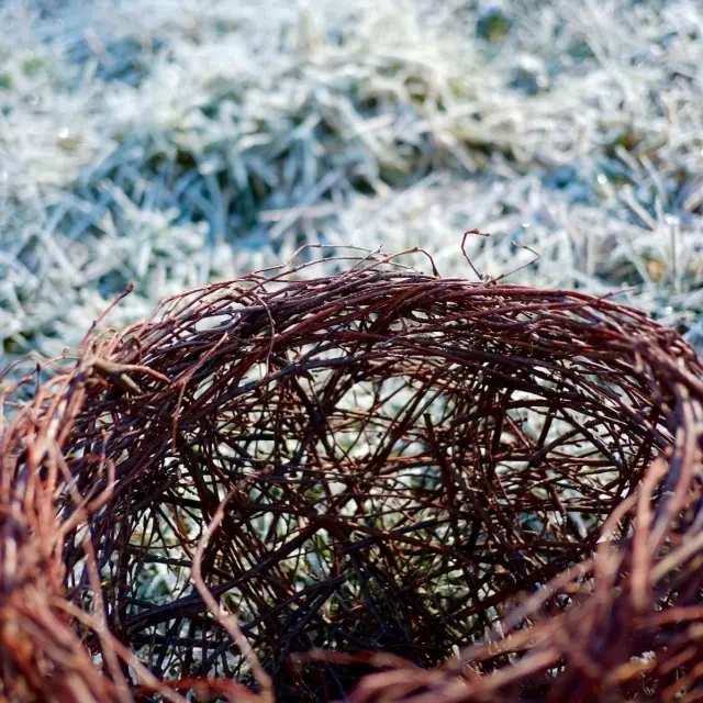 13 Atelier De Tressage