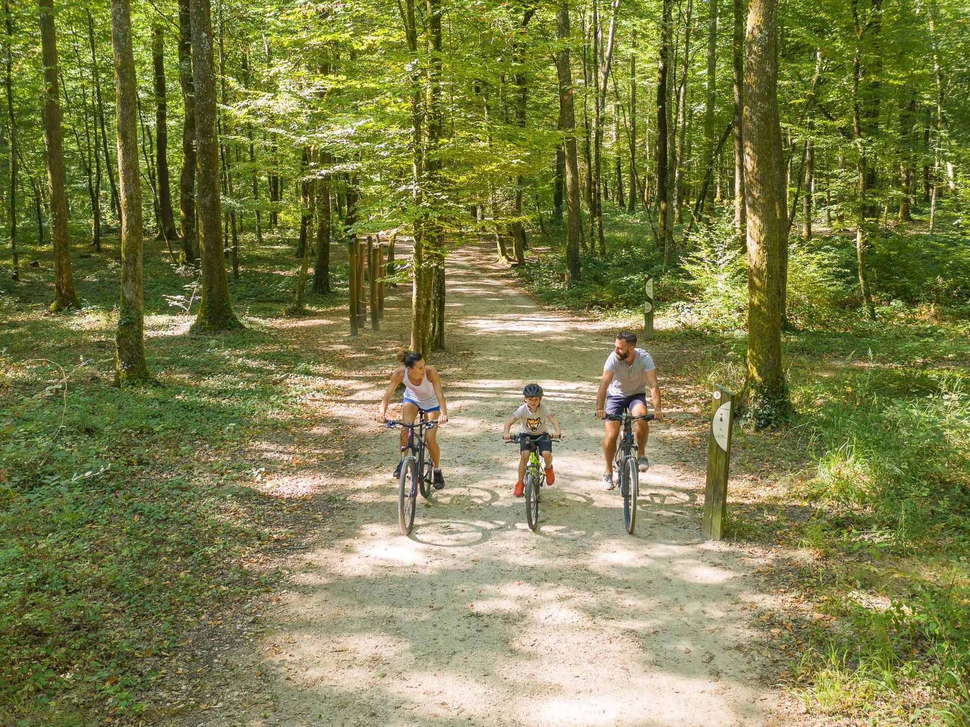 Forêt de Seillon, un terrain de jeu pour les enfants | Bourg-en-Bresse ...