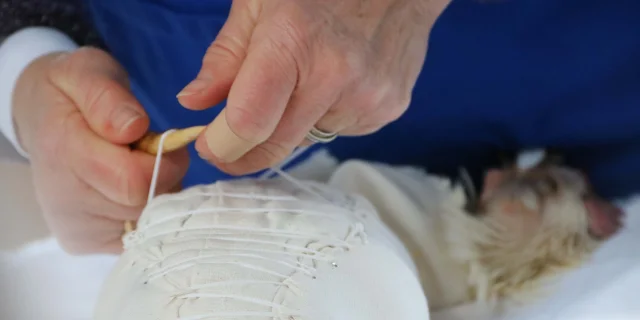 Glorieuses de Bresse à Bourg-en-Bresse