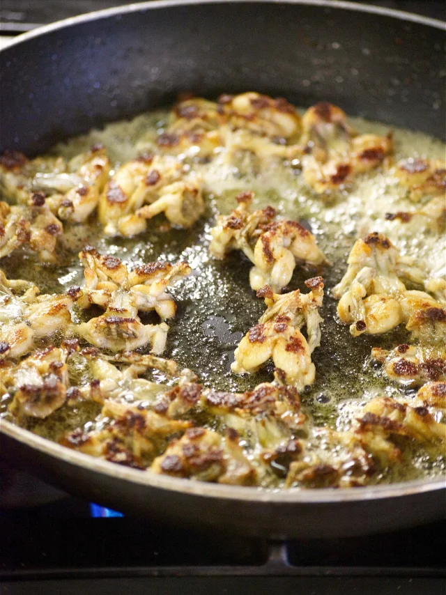 Grenouilles Franck Sucillon Le Duverger©arold