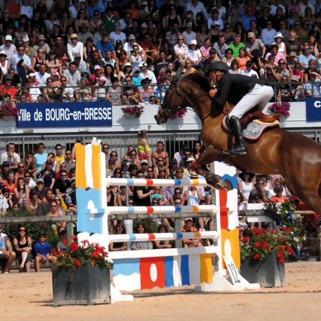 19è édition du jumping international :
parcours et saut d'obstacle.