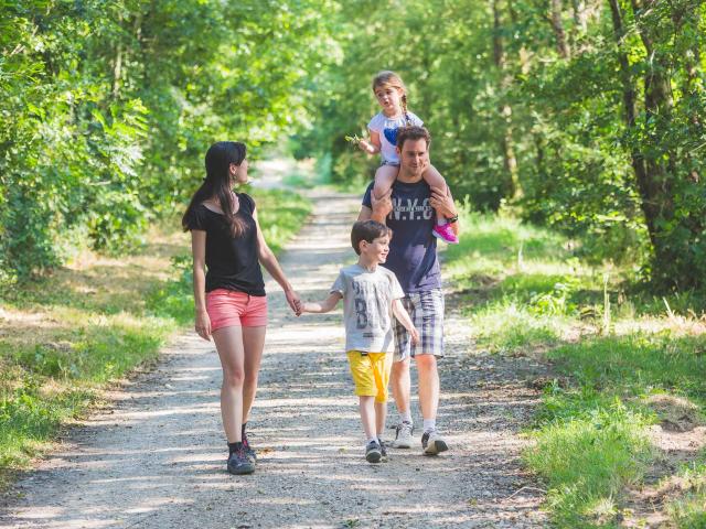 Visitez les étangs de La Dombes en famille - Office de tourisme Bourg-en-Bresse destinations