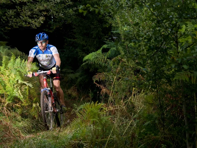 Vtt Sportif Vers Le Lac Genin©marc Chatelain Aintourisme Fin 300916