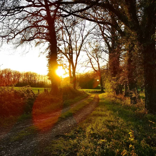 Instagram #bourgenbresse