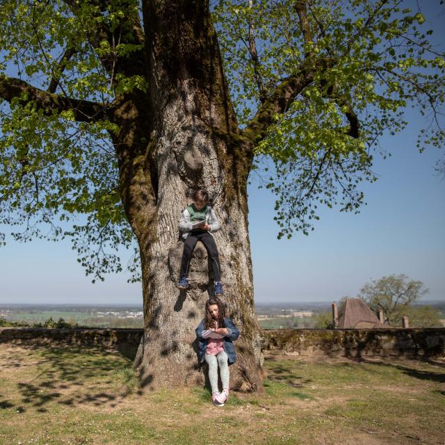 B B Destinations Day4 Treffort Meillonnas 039©morganemonneret
