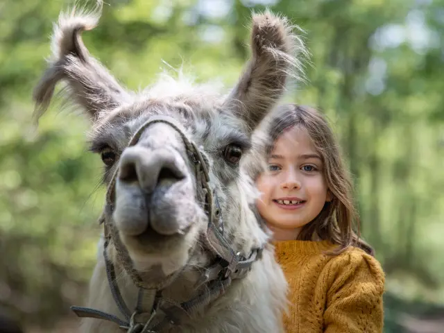 Lama et enfant