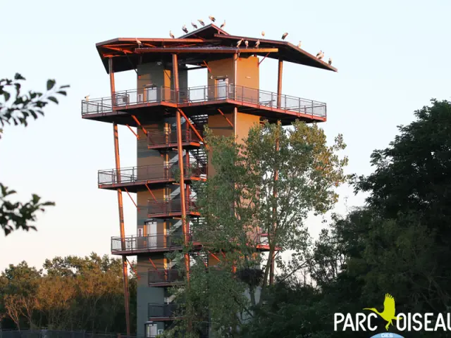 Tour Soirée été 2016