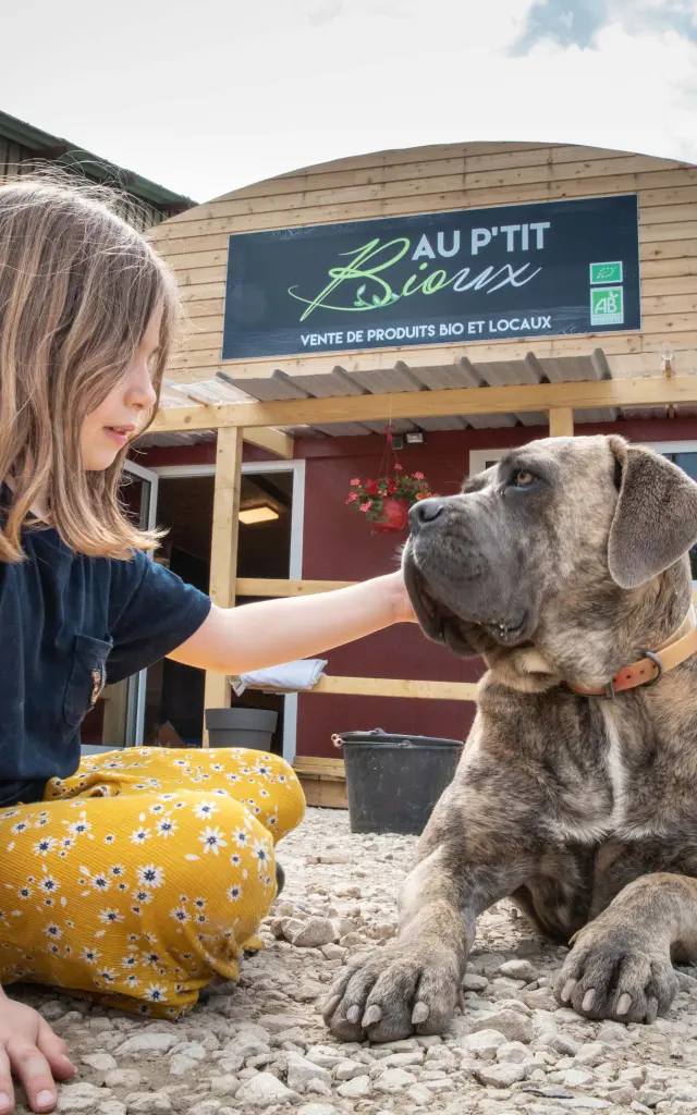 Enfant avec un chien