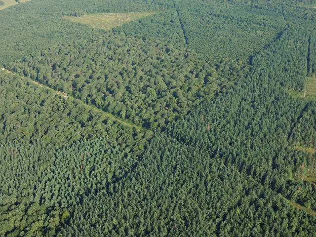 Vue aérienne Massif forestier de Seillon et la Rena