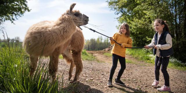 Enfants et Lama