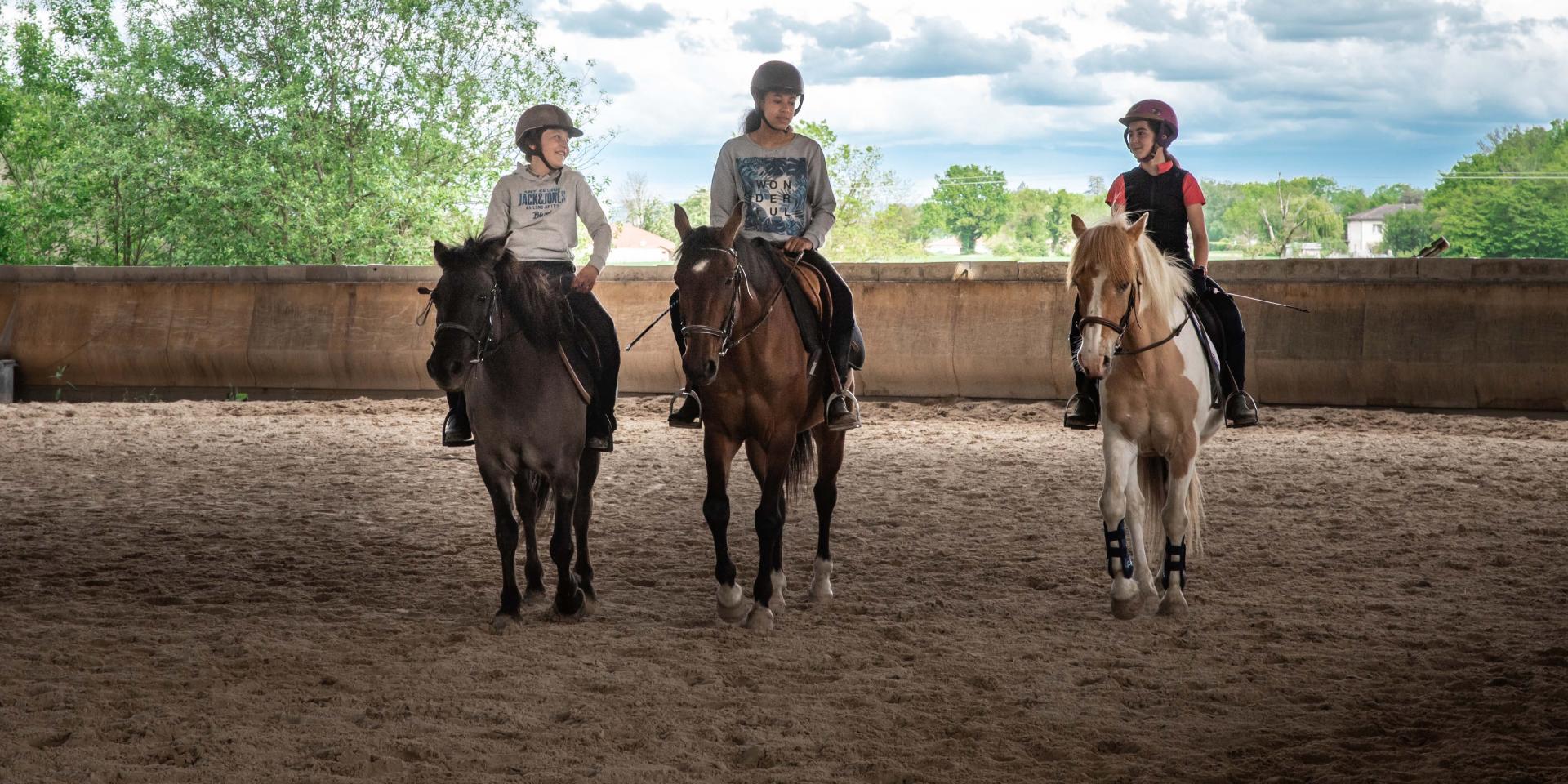 Entraînement équestre